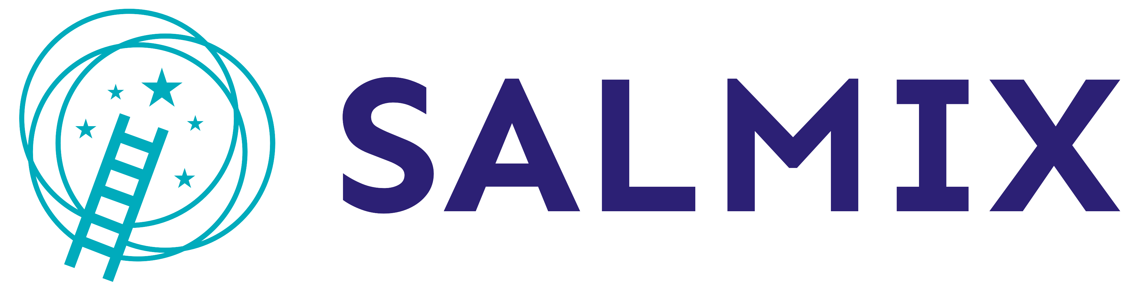 SALMIX Logo - Original - 5000x5000